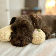Load image into Gallery viewer, Dotmalls Pet Pillows