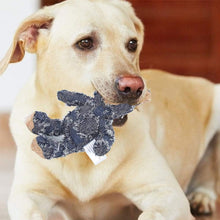 Load image into Gallery viewer, Dotmalls Robust Bear