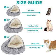 Load image into Gallery viewer, Dotmalls CozyPaws
